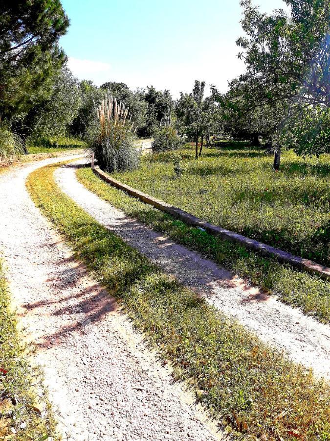 Villa Il Leccio - Trulli Cisternino Dış mekan fotoğraf